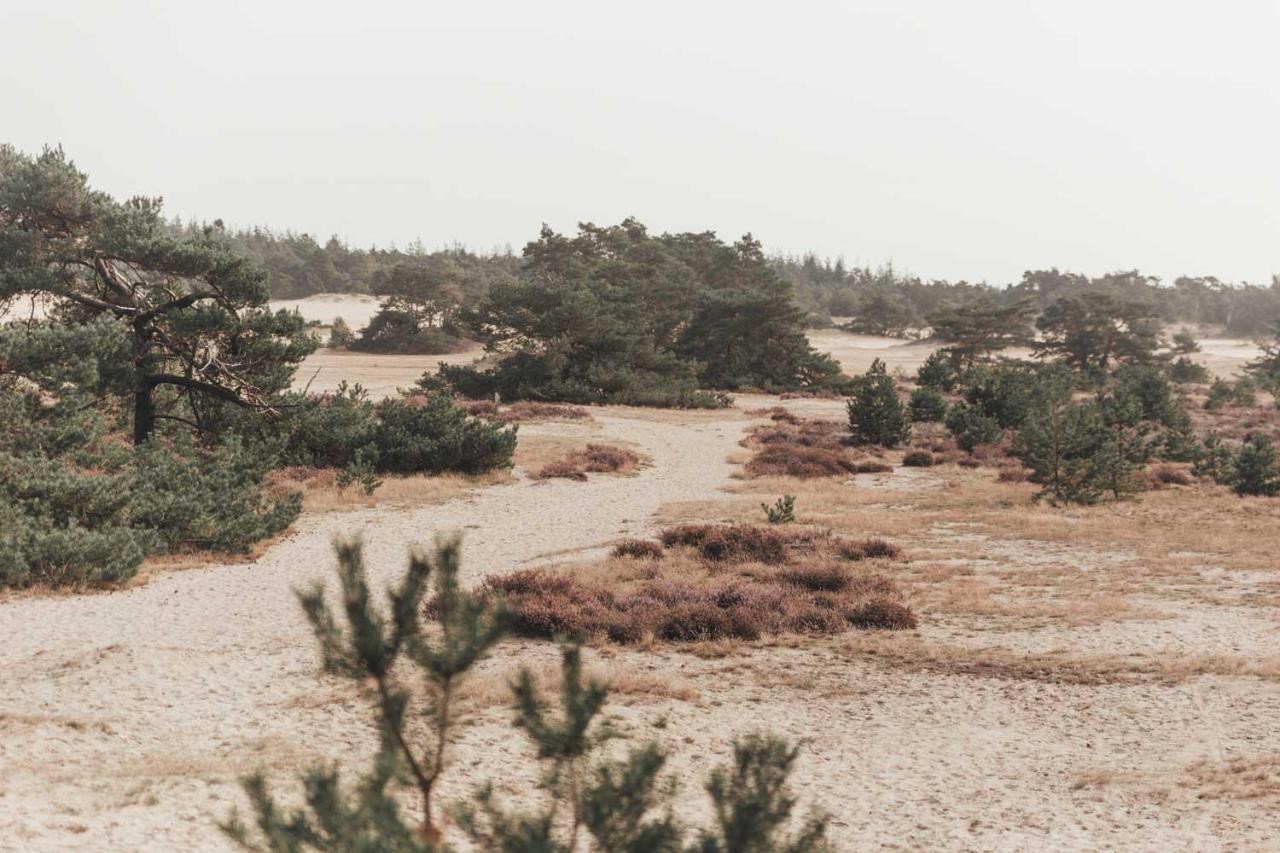 Boshuisje op de Veluwe Nunspeet Buitenkant foto