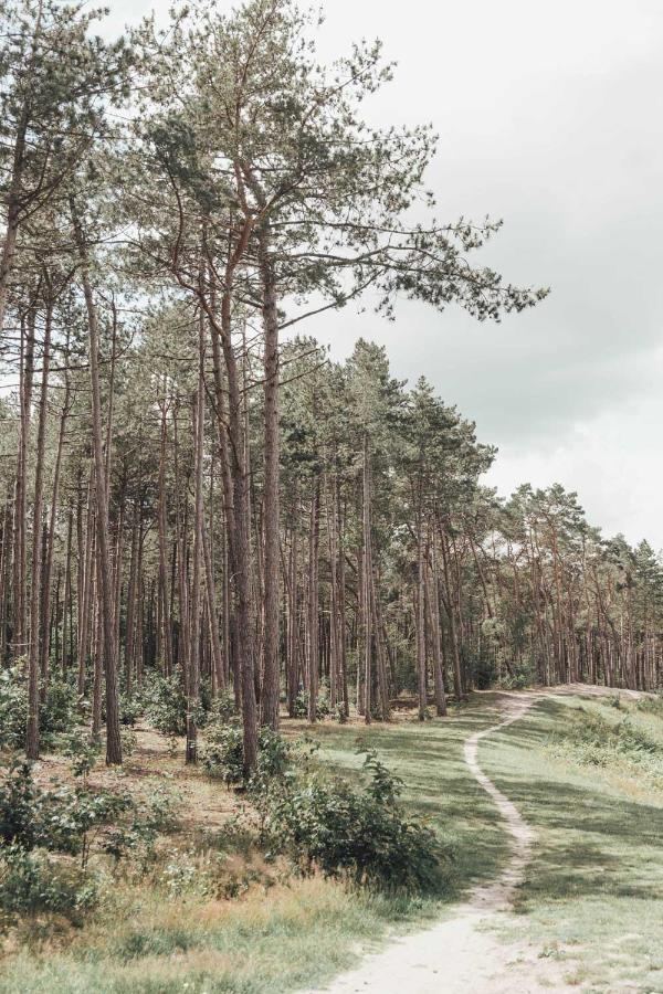 Boshuisje op de Veluwe Nunspeet Buitenkant foto