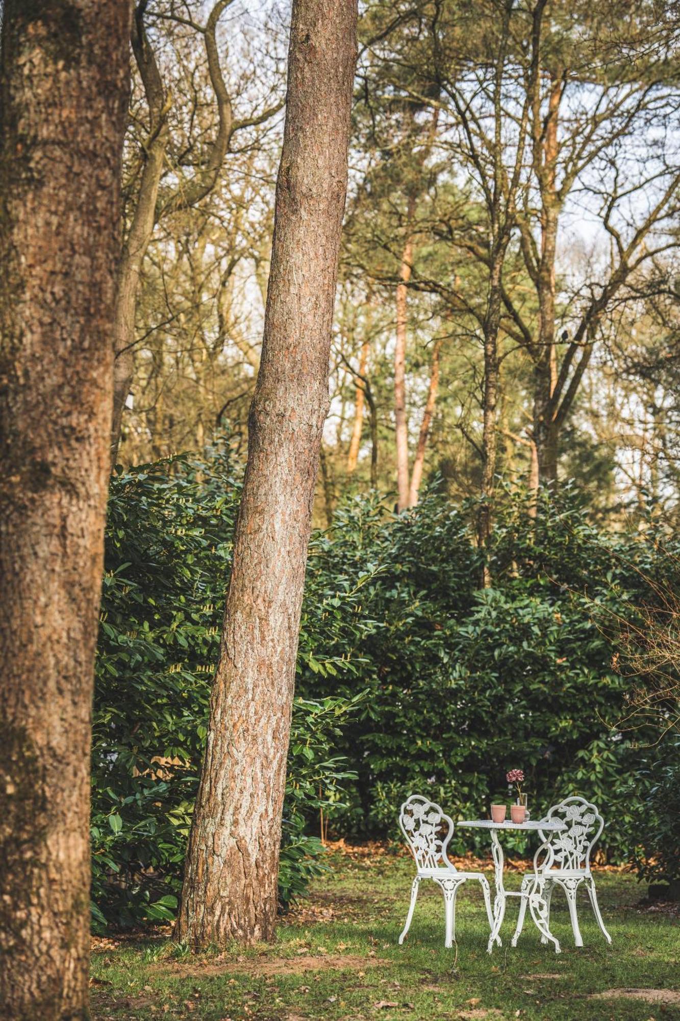 Boshuisje op de Veluwe Nunspeet Buitenkant foto